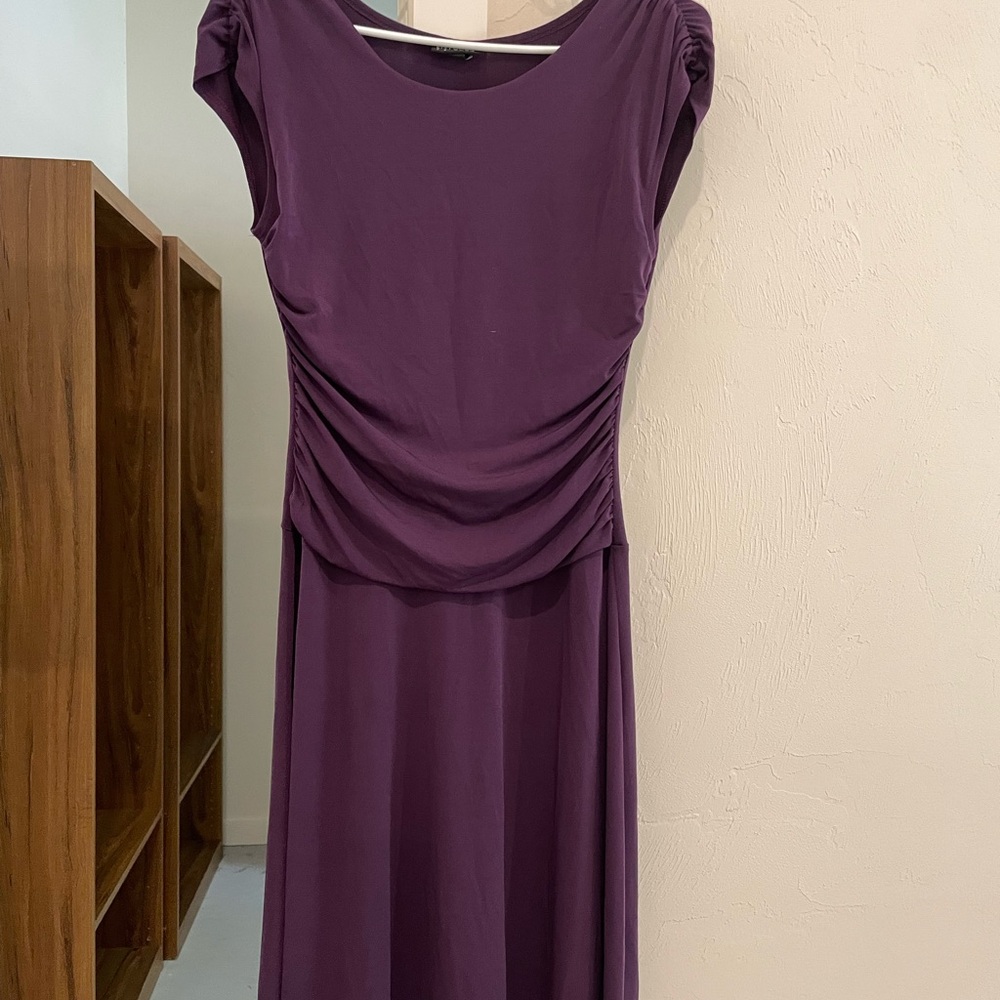 Elegant Purple Women's Dress